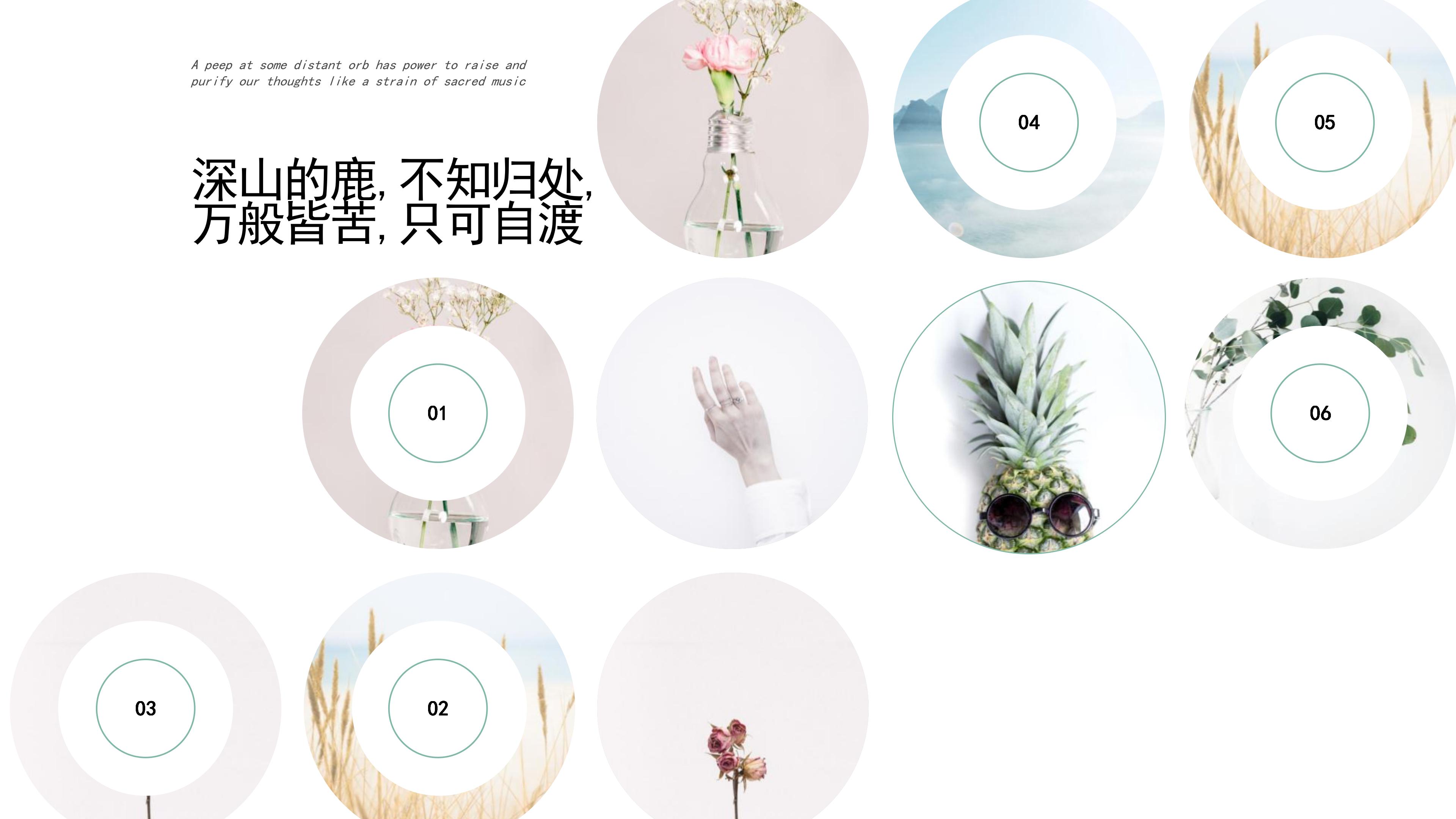 “深山的鹿，不知归处”创意清新画册PPT模板下载