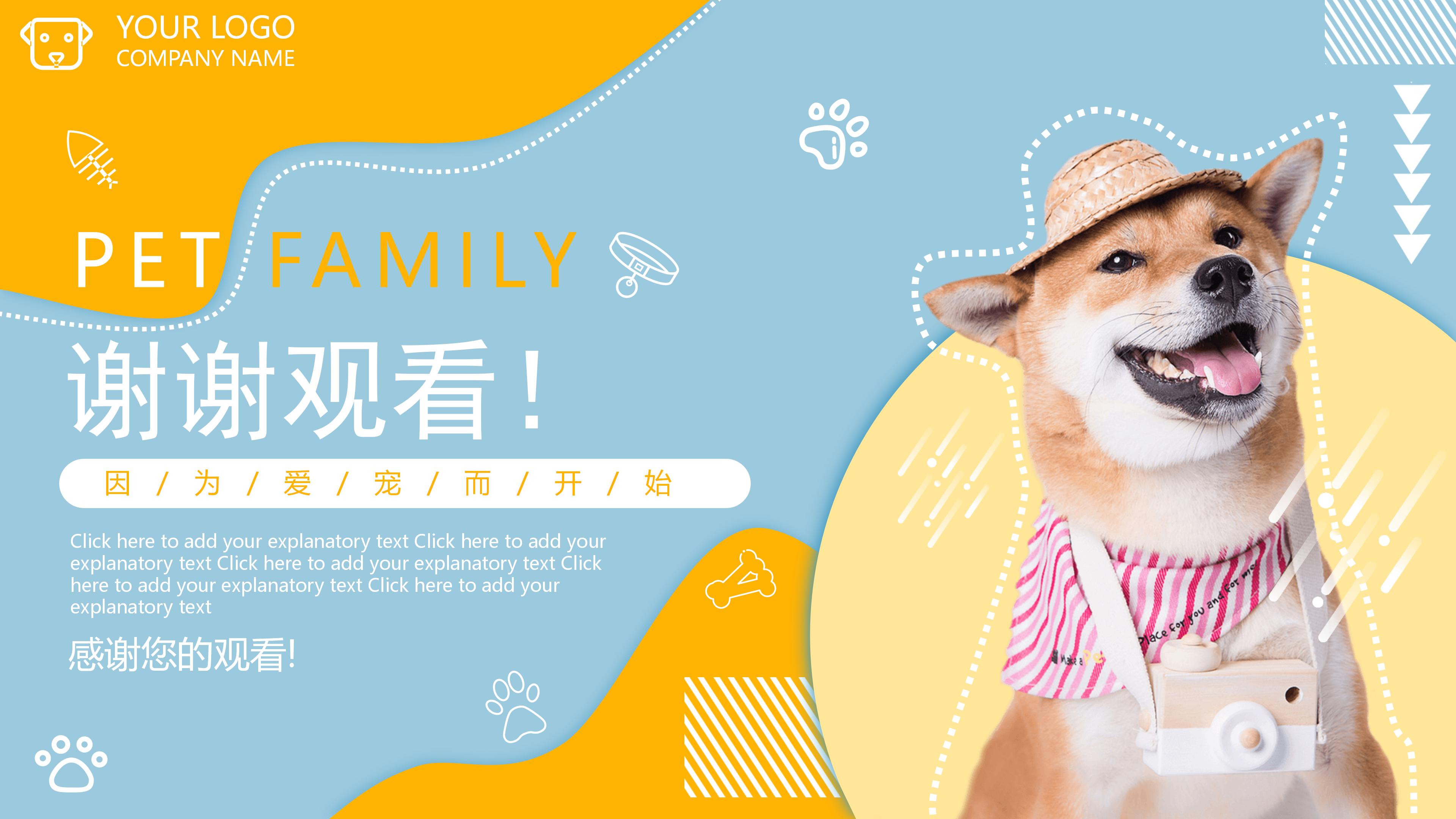 宠物狗狗背景的杂志风宠物店介绍PPT模板