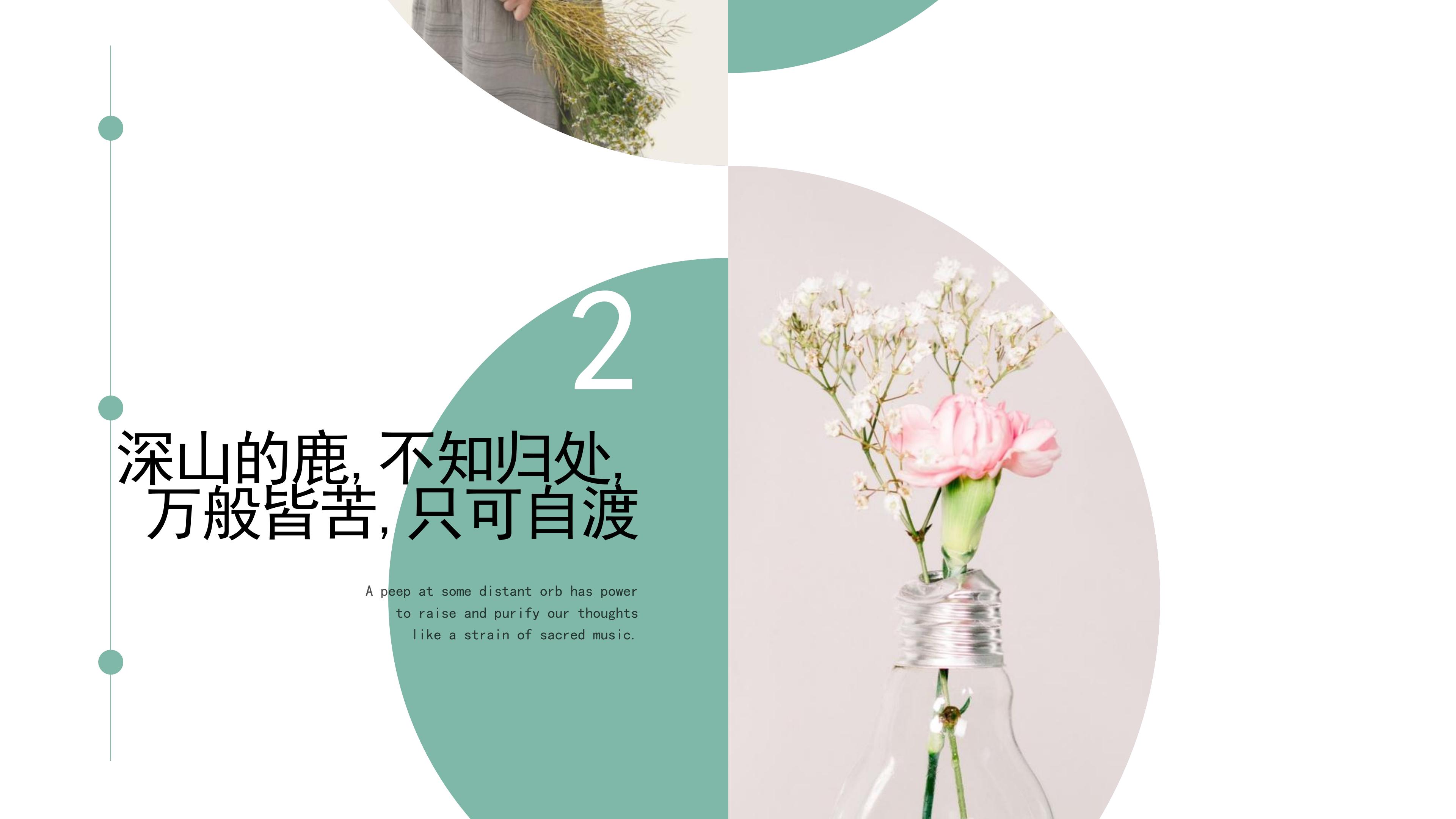 “深山的鹿，不知归处”创意清新画册PPT模板下载