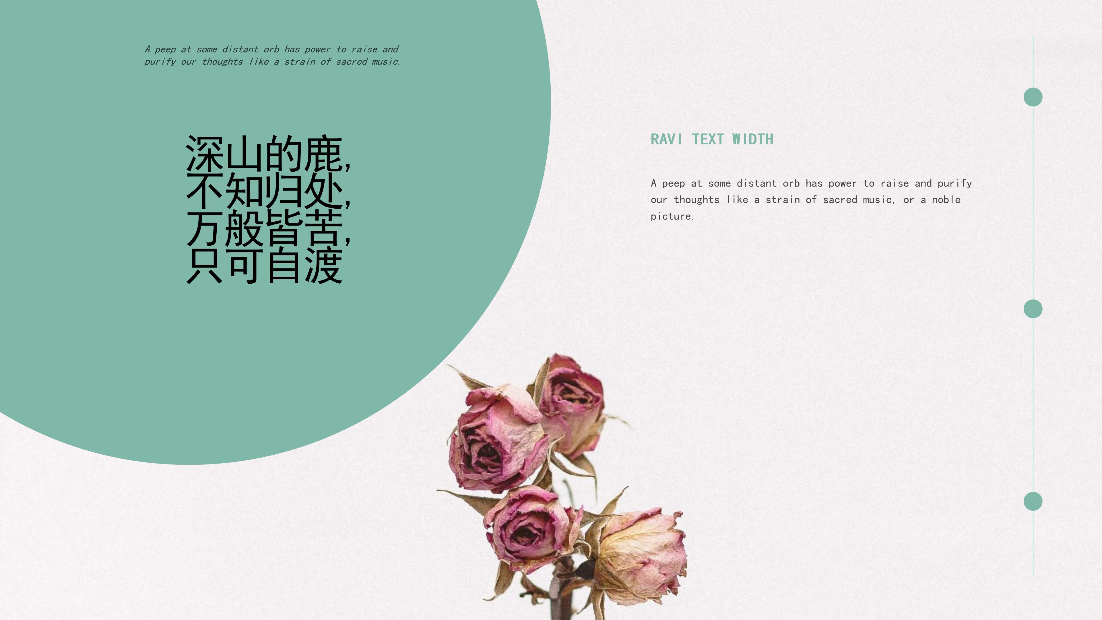 “深山的鹿，不知归处”创意清新画册PPT模板下载