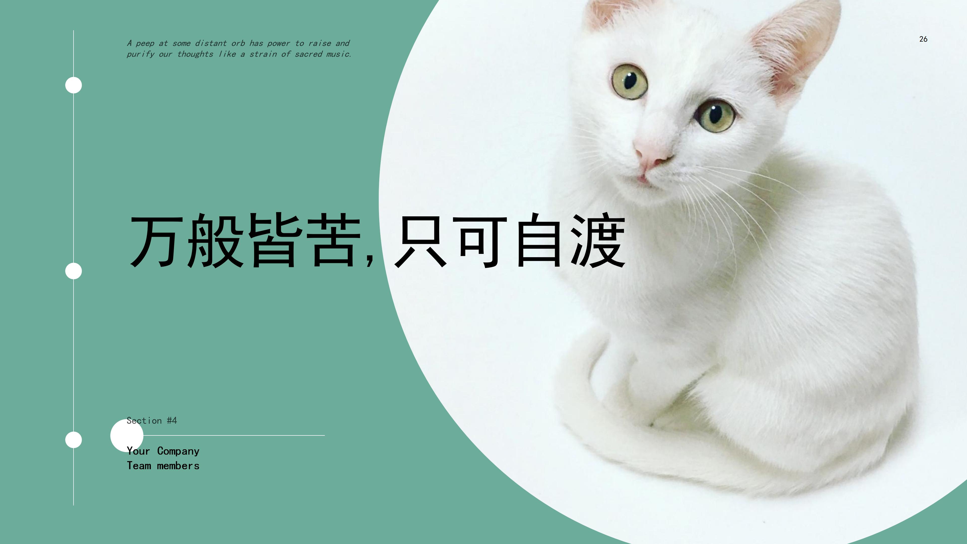 “深山的鹿，不知归处”创意清新画册PPT模板下载