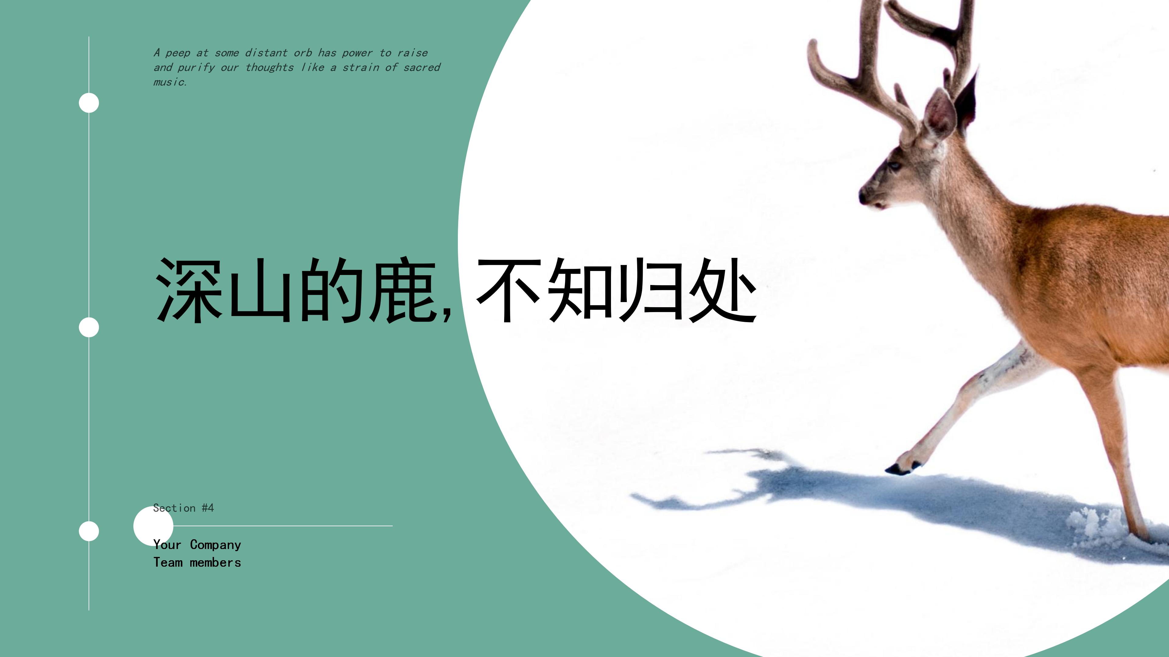 “深山的鹿，不知归处”创意清新画册PPT模板下载