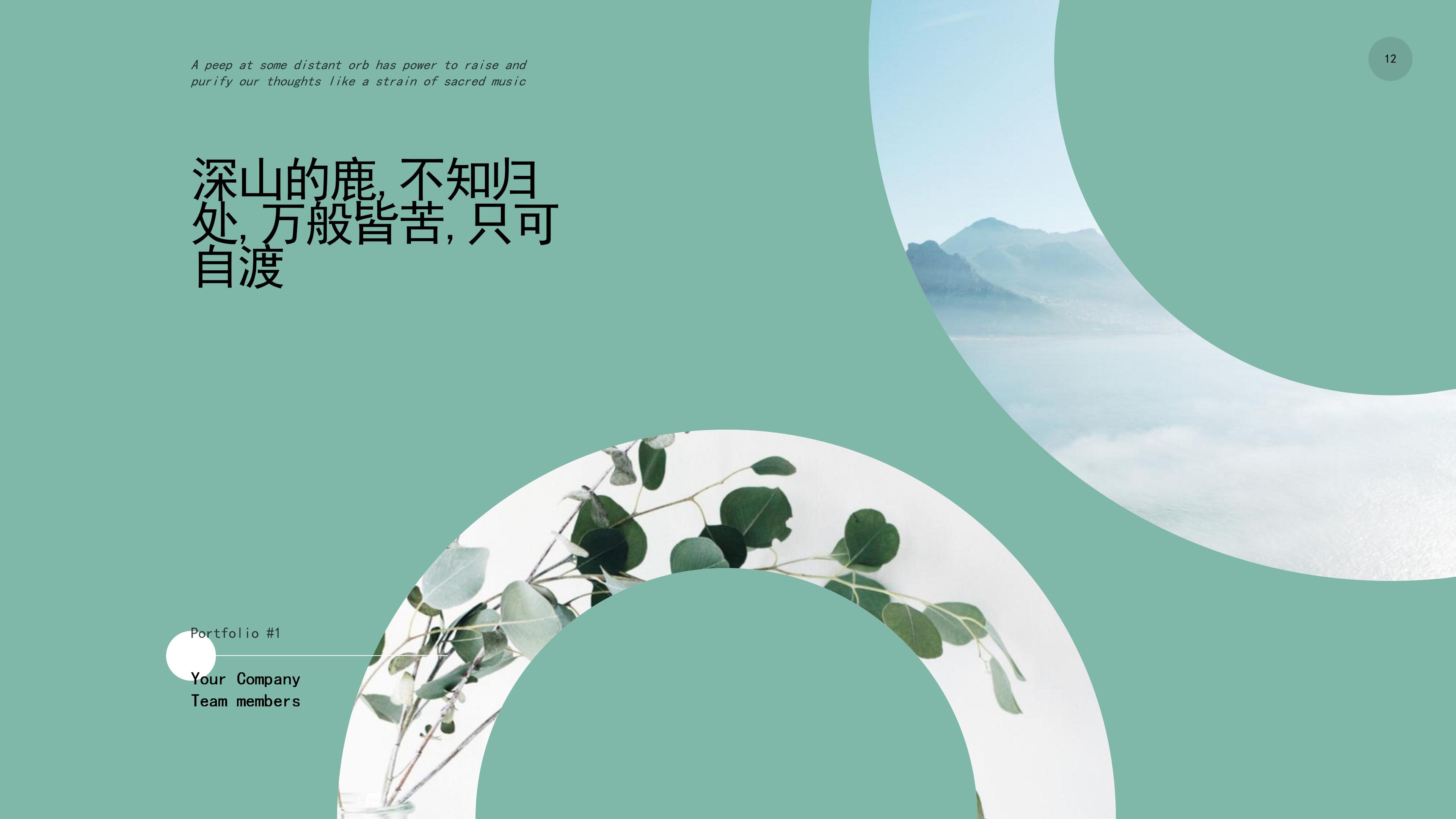 “深山的鹿，不知归处”创意清新画册PPT模板下载